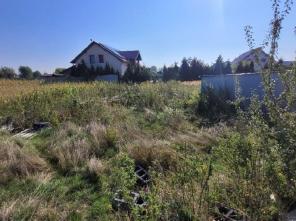 20250909_100024_resized