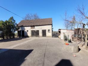 20250403_110642_resized