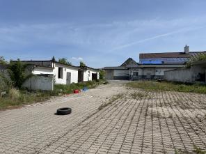 IMG_2481 (2)