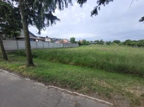 20250528_092835_resized