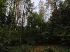 200e.Działka nr 255