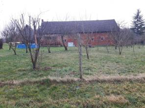 Widok bud gosp. obory od strony działki
