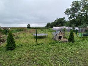 20230830_102612_resized