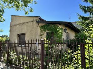 IMG_0752 Duży
