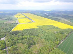 DJI_0051