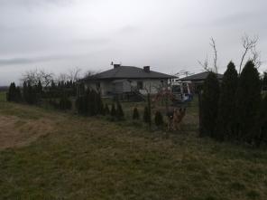IMG_20200320_124212