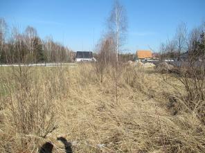 IMG_0461