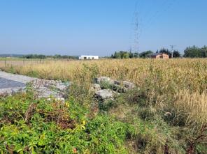 20250909_100129_resized