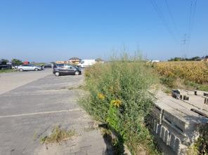 20250909_100047_resized