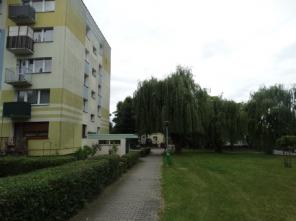 DSC04007