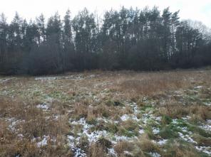 IMG_20200129_140605