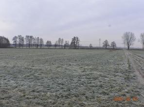 dz 231 widok