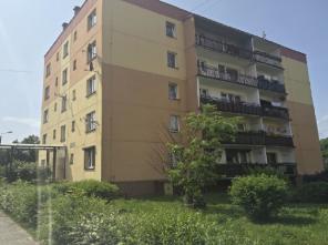 zdjęcie_2025_11_12