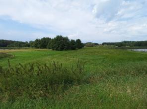 20240808_105851_resized