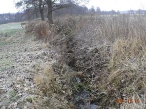 rów miedzy dziakami 231 i 232