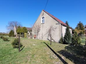 20250403_111111_resized