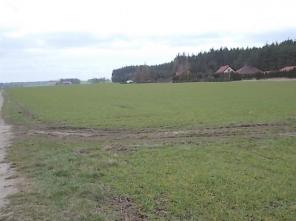 DSCN0596
