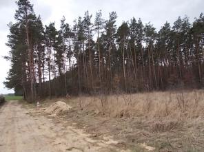 DSCN0609