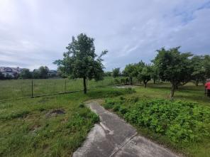 20250528_092346_resized