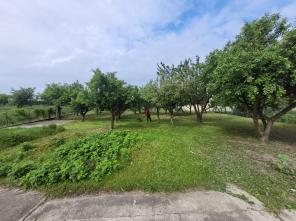 20250528_092349_resized