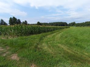 20240808_110745_resized