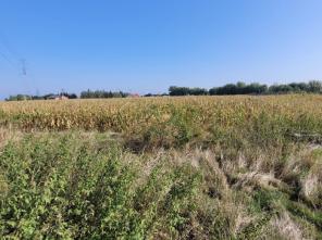 20250909_100017_resized