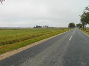 ZDJĘCIE 2